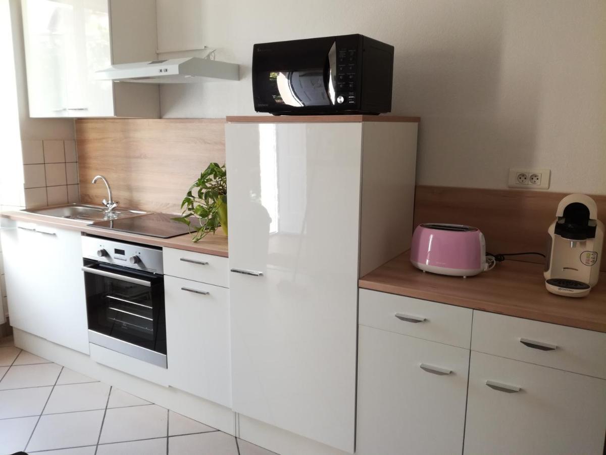 Appartement Avec Jardin A Colmar Bagian luar foto